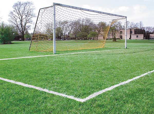 Athletic Field Striping Paint, 17 oz., White, Water -Based