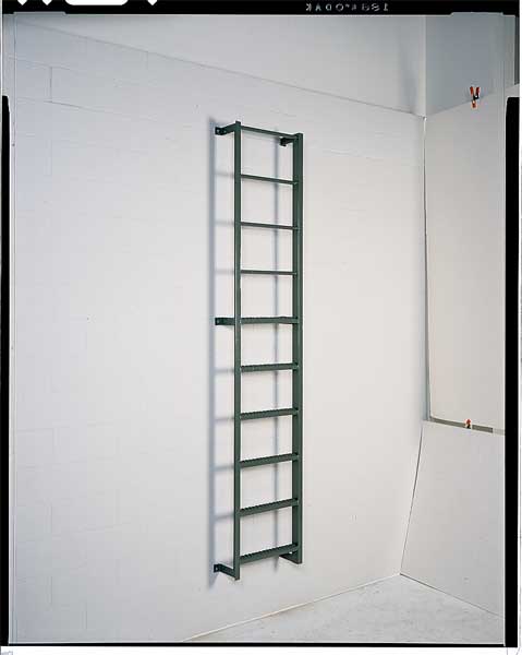 5 ft Fixed Ladder, Steel, 5 Steps, Forward Exit, Enamel Finish