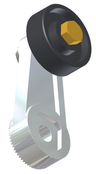 Roller Lever Arm, 2 In. Arm L