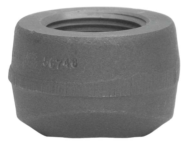 Pipe Saddle, Socket Weld, 1 In