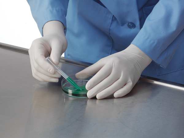 Lightweight Latex Exam Gloves, Natural Rubber Latex, Powder Free, Natural, 100 PK