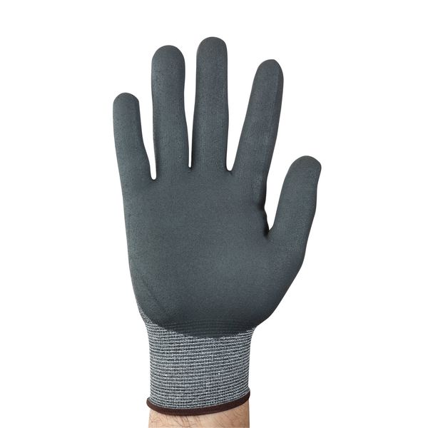 Cut Resistant Coated Gloves, A2 Cut Level, Nitrile, 2XL, 1 PR