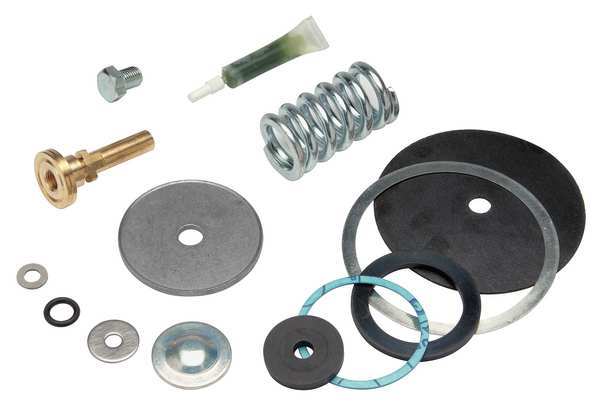 Repair Kit, Reduce Valve, 1-1/2 In