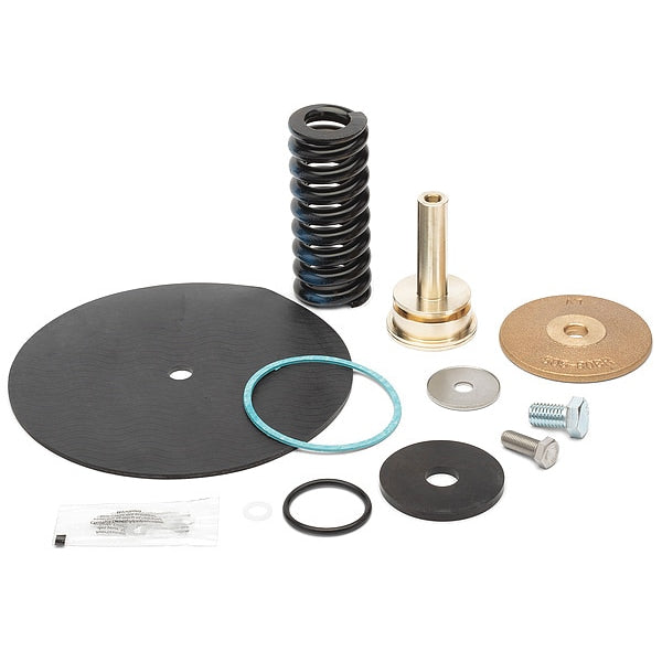 Repair Kit, Reduce Valve, 2-1/2 In