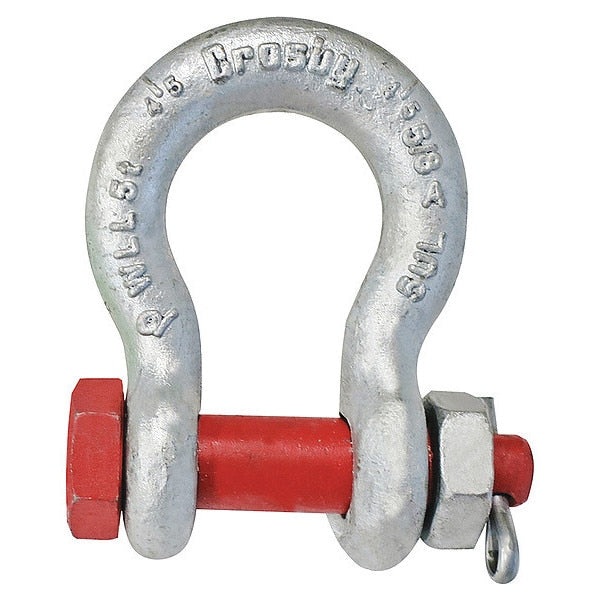 Anchor Shackle, 1/2