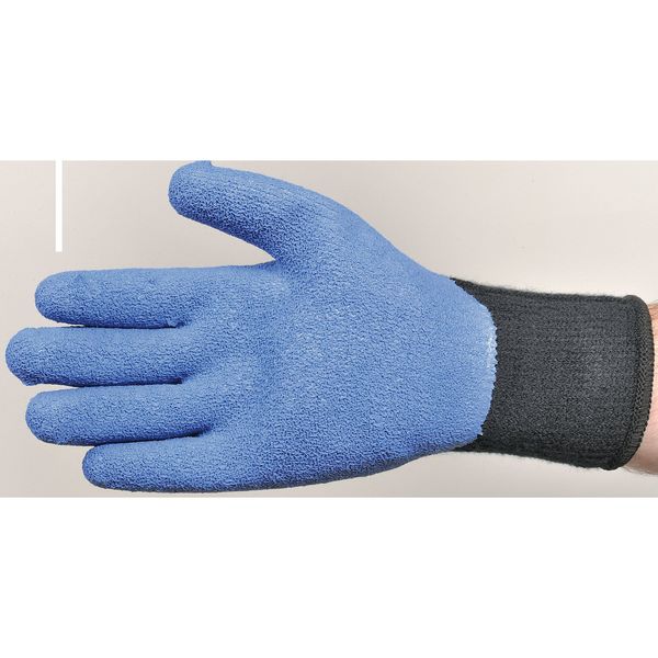 Coated Gloves, XL, Black/Blue, PR