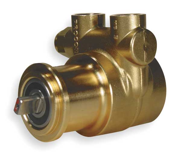 Pump, Rotary Vane, SS