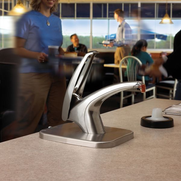 Condiment Pump with Box, Chrome