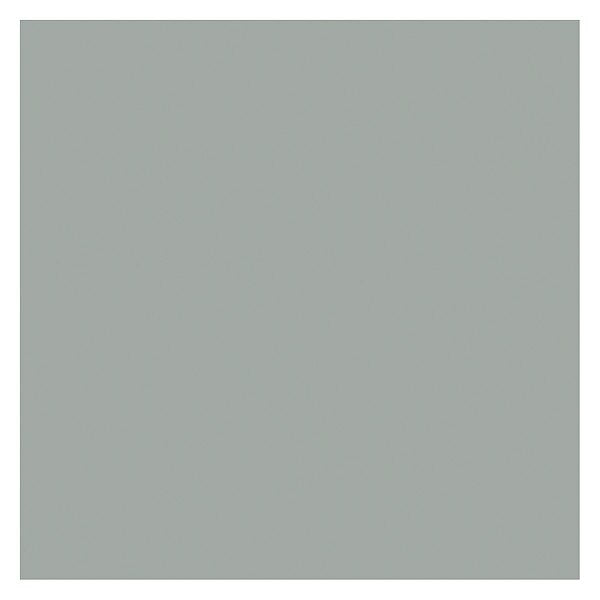 Epoxy Paint, Silver Gray, Flat, 3.75 qt, 250 to 350 sq ft/gal, None Series