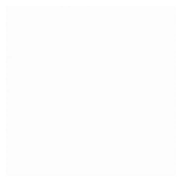Spray Paint, White, Gloss, 12 oz