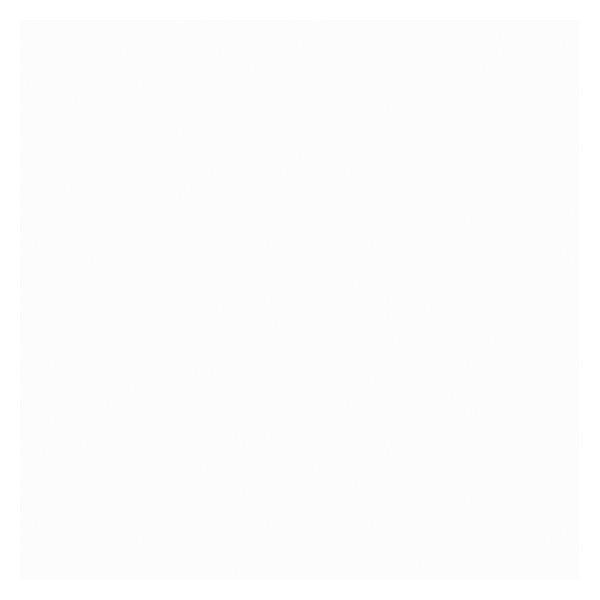 Spray Paint, White, Flat, 12 oz