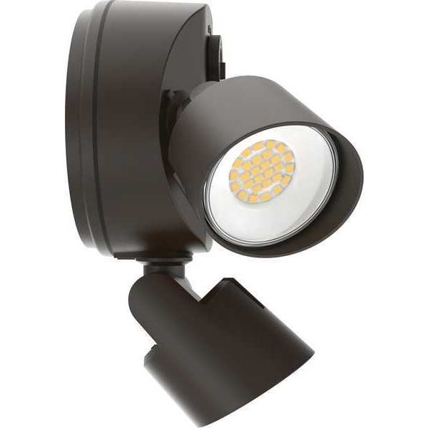 Security Floodlight