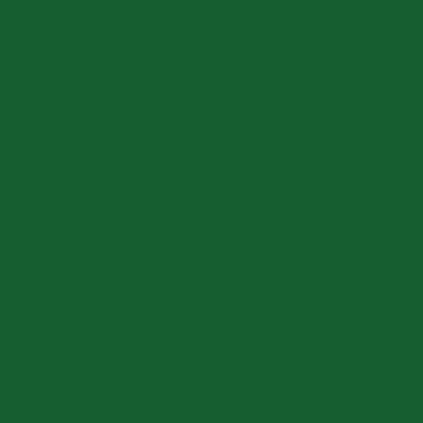 Spray Paint, Emerald Green, Gloss, 12 oz