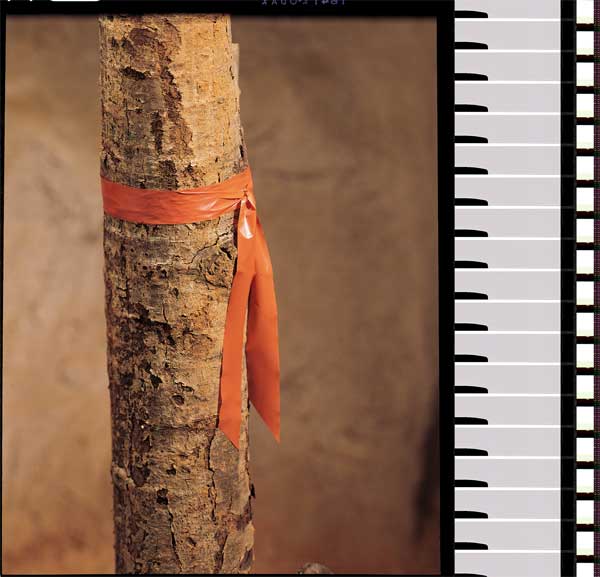 Taffeta Flagging Tape, Red, 300 ft x 1 In