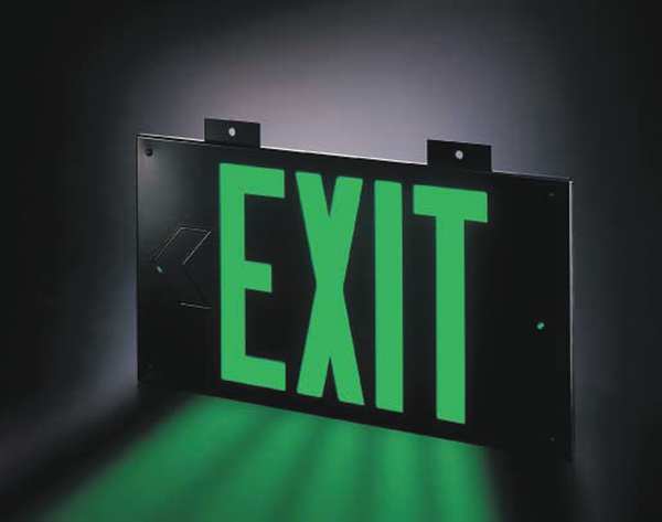 Exit Sign, 8 3/4 in x 15 3/8 in, Plastic
