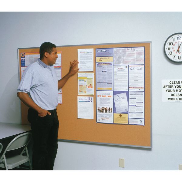 Cork Bulletin Board 18