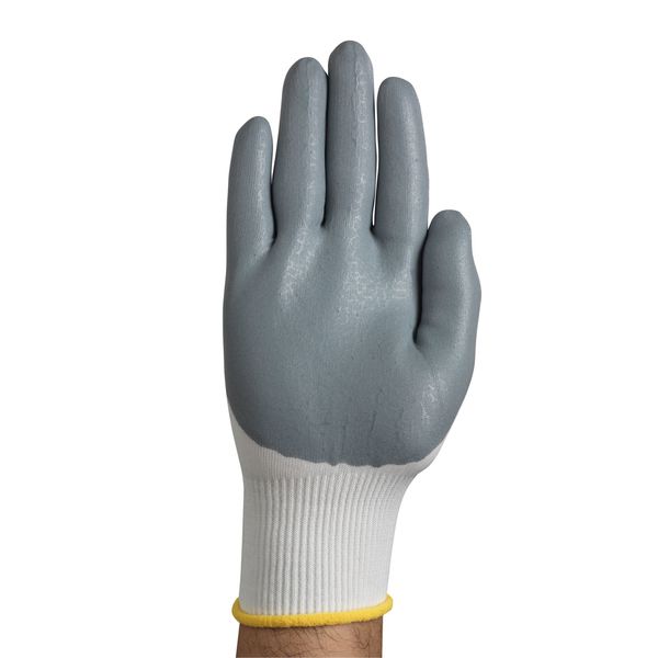 Foam Nitrile Coated Gloves, Palm Coverage, White/Gray, 2XL, PR