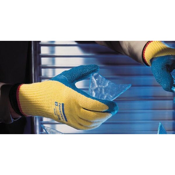 Cut Resistant Coated Gloves, A2 Cut Level, Natural Rubber Latex, L, 1 PR