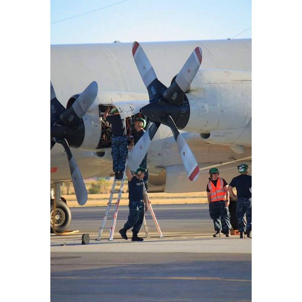 Multipurpose Ladder, 90 Degrees , Extension, Scaffold, Staircase, Stepladder Configuration, 19 ft