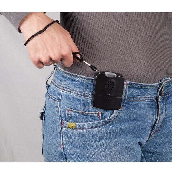 Handheld alarm with sound and light