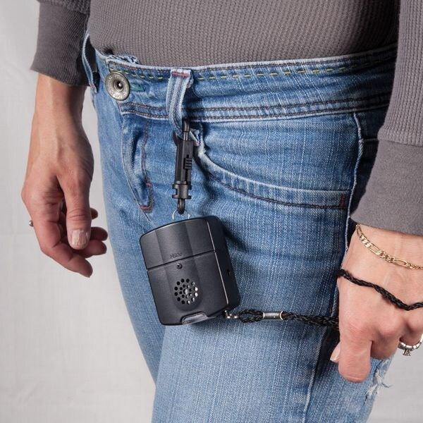 Handheld alarm with sound and light