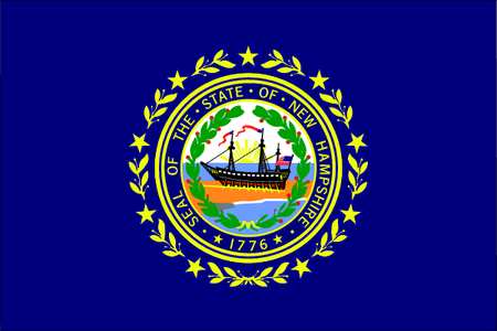 New Hampshire State Flag,3x5 Ft (1 Units