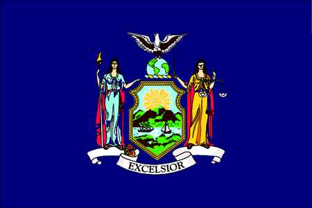 New York State Flag,3x5 Ft (1 Units In E