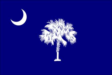 South Carolina State Flag,3x5 Ft (1 Unit