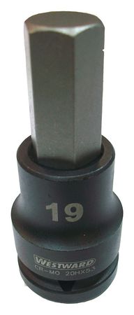 Hex Impact Socket,3/4 In. Dr,19mm (1 Uni