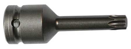 Socket Bit,1/2 In. Dr,t55 Torx(r) (1 Uni