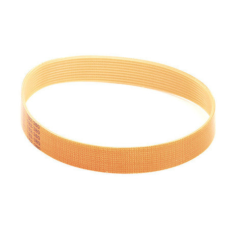 Belt Ribbed (1 Units In Ea)