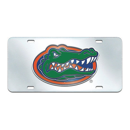 Florida License Plate Inlaid,6"x12" (1 U