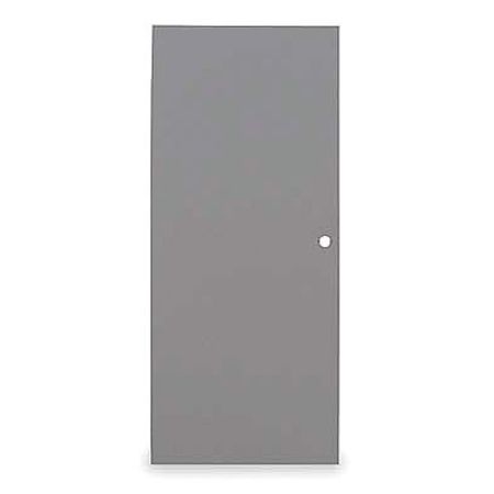 Flush Steel Door,80x30 In,16 Ga (1 Units