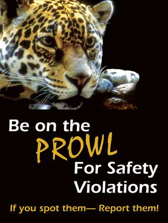 Safety Poster,24 X 18in,flex Plstc,eng (