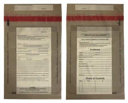 Evidence Bag,dual Sided,12 X 9 In,pk100