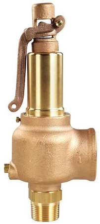 Safety Relief Valve,1/2 X 3/4,100 Psi (1