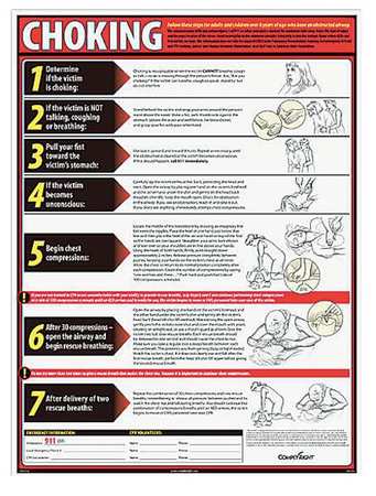 Choking Poster,english (1 Units In Ea)