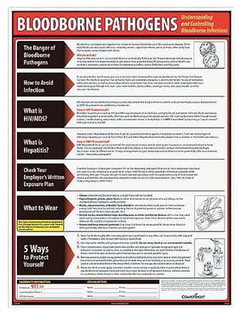 Bloodborne Pathogens Poster,english (1 U