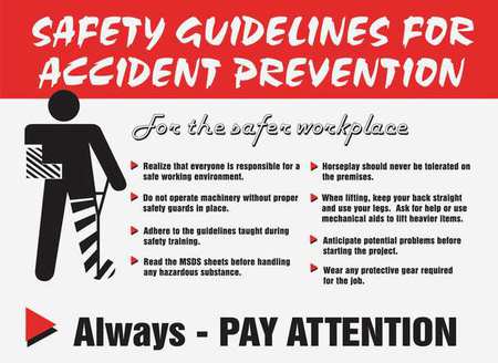 Poster,safey Guidelines For,18 X 24 In.