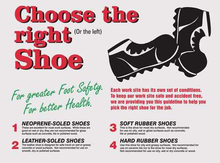 Poster,choose The Right,18 X 24 In. (1 U