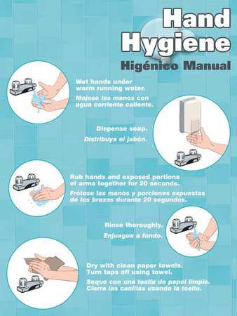 Poster,hand Hygiene,18 X 24 In. (1 Units