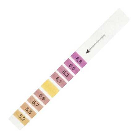 Ph Indicator Strip,5.2 To 6.8 Ph,pk200 (