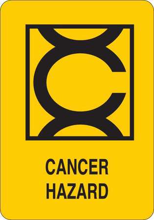 Safety Sign,plastic,black/yellow,14 In H