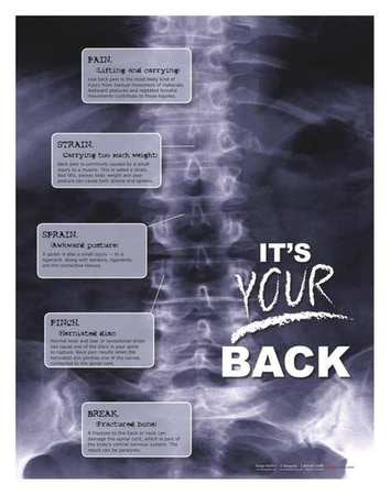 Safety Poster,x-ray Its Your Back,eng (1