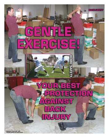 Safety Poster,gentle Exercise,eng (1 Uni