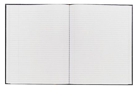 Executive Notebook,11 X 8-1/2 In,blue (1