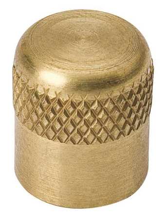 1/4" Sae Cap,brass,700 Psi (1 Units In E