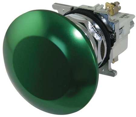 Non-illuminated Push Button,30mm,green (