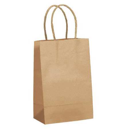 Shopping Bag,standard,paper,open ,pk250