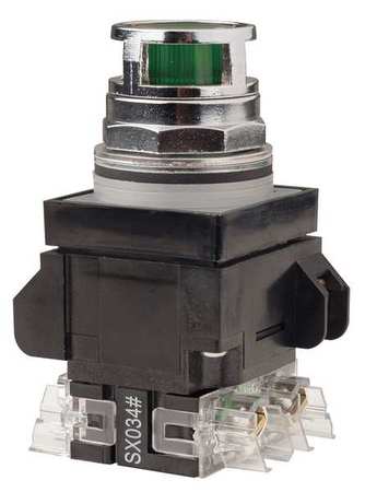 Illuminated Push Button,30mm,120vac (1 U